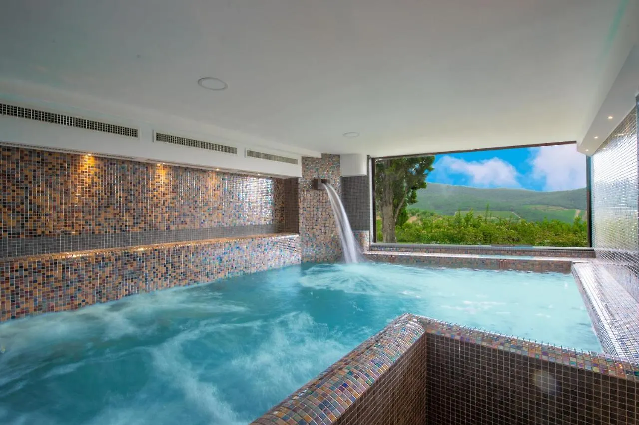 Villa Terra Di Siena - Homelike Villas Greve in Chianti