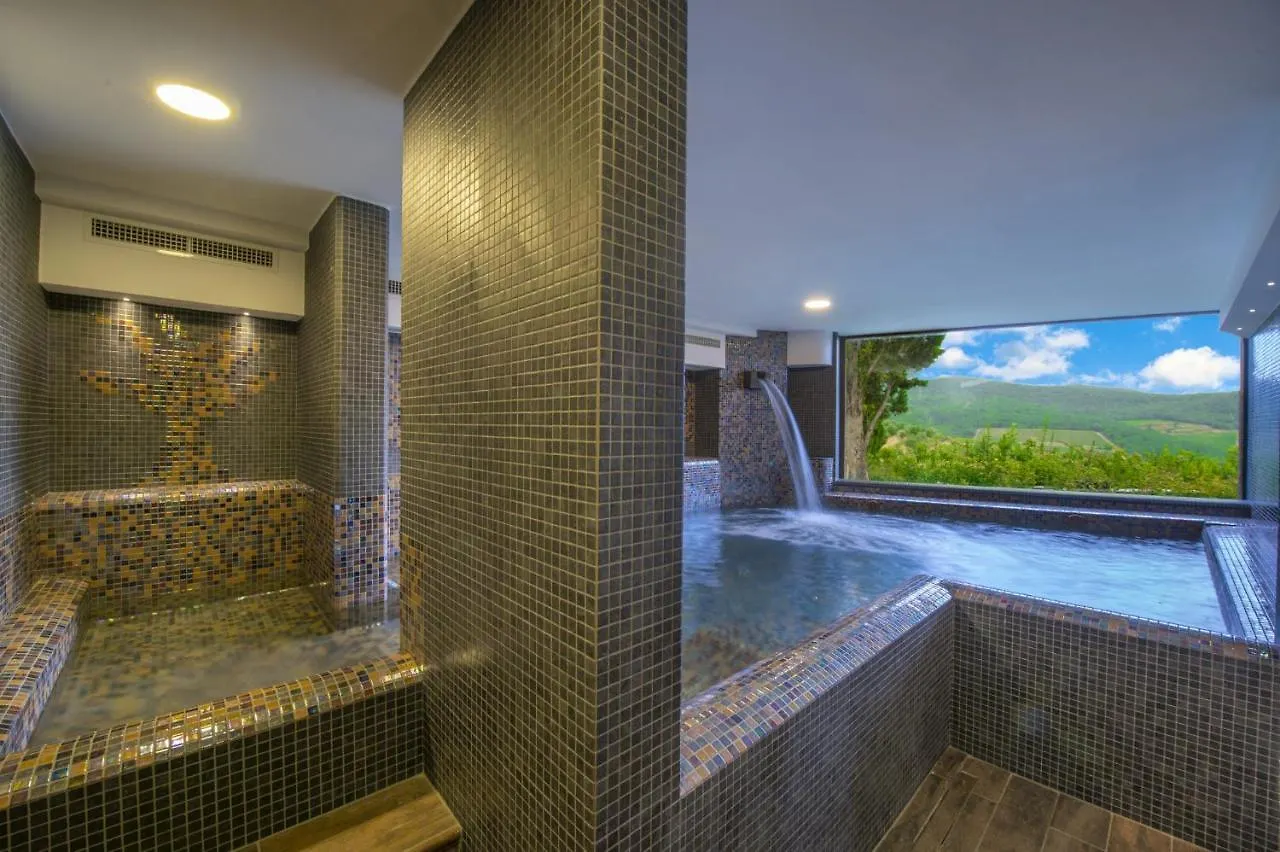 Villa Terra Di Siena - Homelike Villas Greve in Chianti